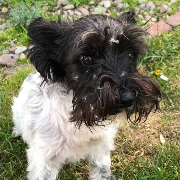 Meet your Posher, Terri - Picture 5 of 12